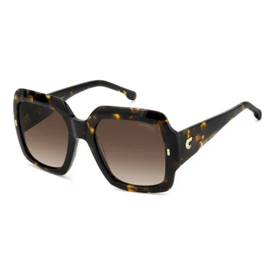 Carrera 3004/s 086(ha) In Brown
