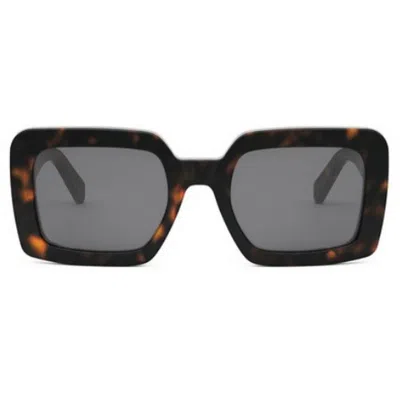 Celine Triomphe Acetate Square Sunglasses In Burgundy