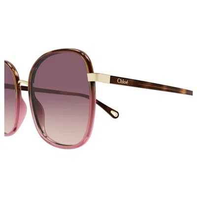 Chloé Eyewear Square Frame Sunglasses In Brown