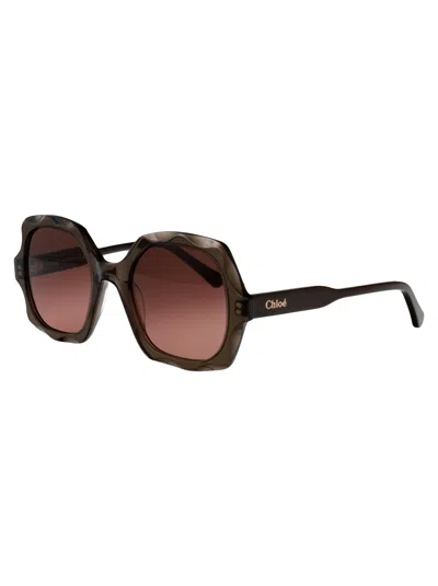 Chloé Ch0226s 007 In Brown