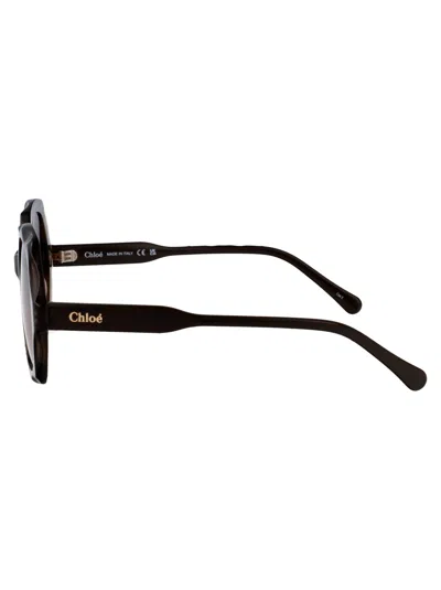 Chloé Ch0226s 007 In Brown