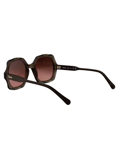 Chloé Ch0226s 007 In Brown