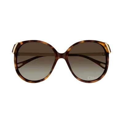 Chloé Ch0285s 002 In Brown