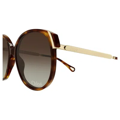 Chloé Ch0285s 002 In Brown