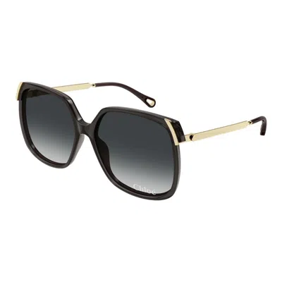 Chloé Full Frame Sunglasses In Black