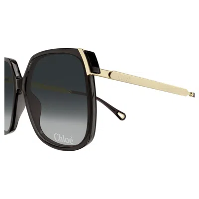 Chloé Full Frame Sunglasses In Black