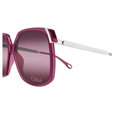 Chloé Ch0286s 003 In Purple