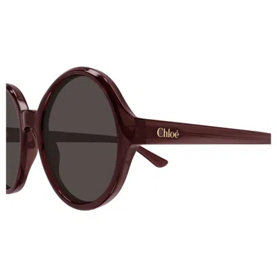 Chloé Round Frame Sunglasses In Brown