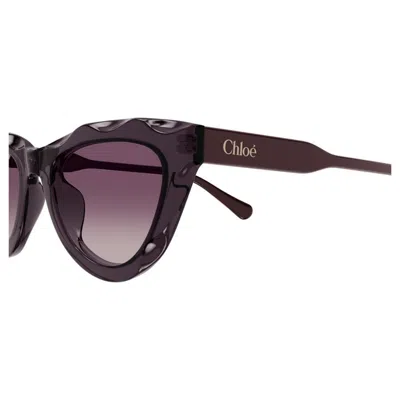 Chloé Eyewear Cat-eye Sunglasses In Black