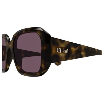 Chloé Ch0300s 002 In Brown