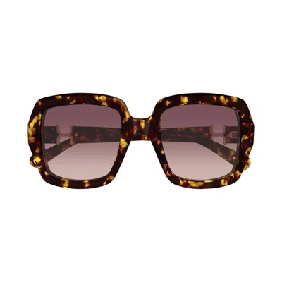 Chloé Chloe Women Printed Acetate Marcie Sunglasses In Brown