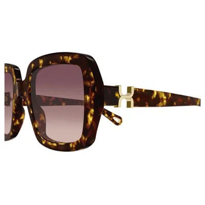 Chloé Chloe Women Printed Acetate Marcie Sunglasses In Brown