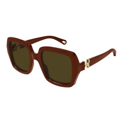 Chloé Ch0301s 004 In Brown