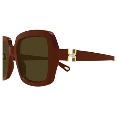 Chloé Ch0301s 004 In Brown