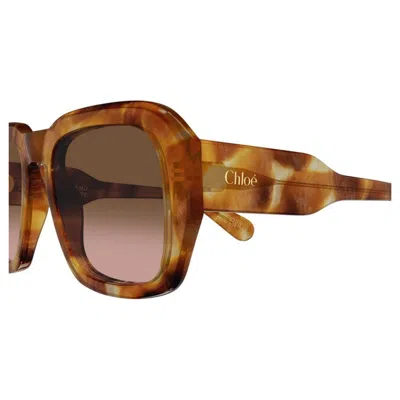 Chloé Occhiali Da Sole Rettangolari Avana In Brown