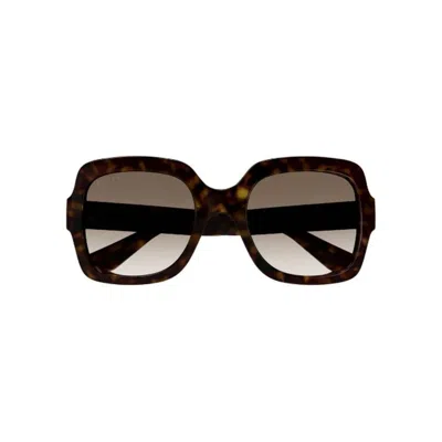 Gucci Havana Havana Brown Acetate Sunglasses
