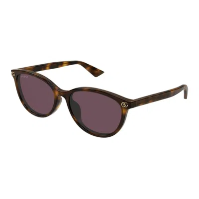 Gucci Gg1818sk Sunglasses In Brown