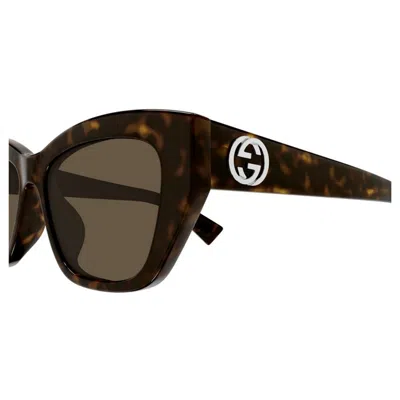 Gucci Gg1844sa002-havana-havana-brown In Black