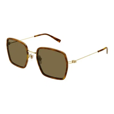 Gucci Havana-gold-brown Acetate Sunglasses
