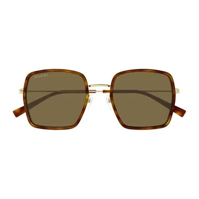 Gucci Havana-gold-brown Acetate Sunglasses