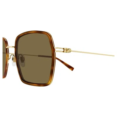 Gucci Havana-gold-brown Acetate Sunglasses