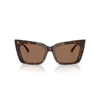 Jimmy Choo Jc5041 500273 In Brown