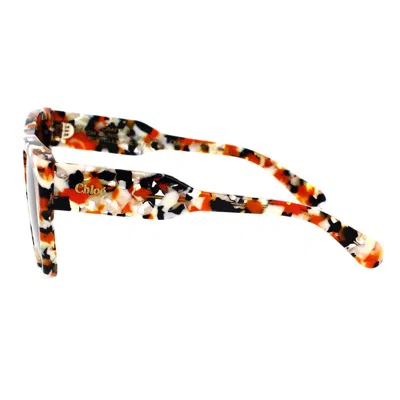Chloé Sunglasses In Multi