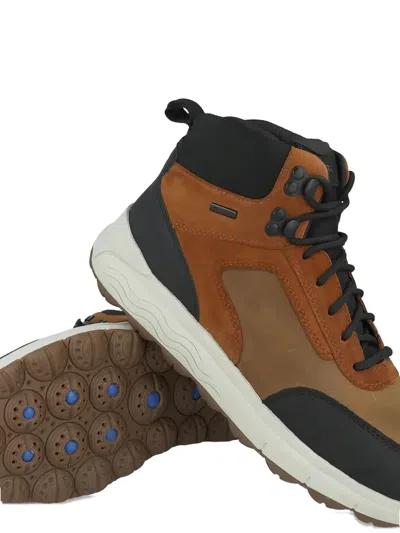 Geox Spherica Boots In Multi
