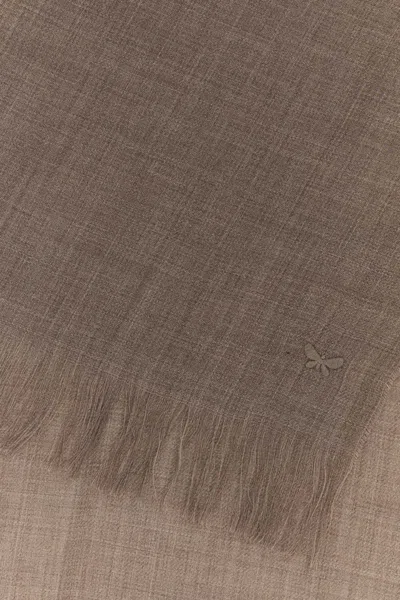 Weekend Max Mara Wool Ken Scarf With Embroidered Detail And Fringed Edges In Brown