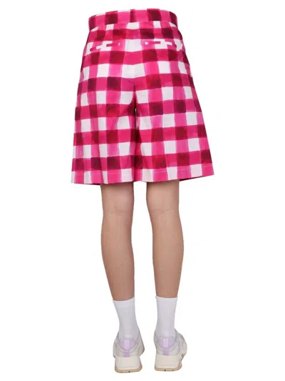 Msgm Gingham-print Tailored Knee-length Shorts In Pink