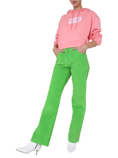 Msgm Hoodie In Pink