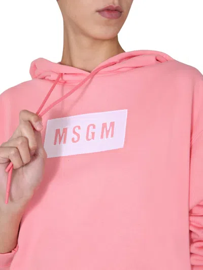 Msgm Hoodie In Pink