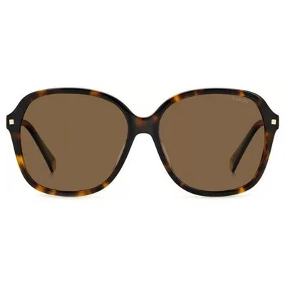 Polaroid Pld 4112/f/s/x 086(sp) In Brown