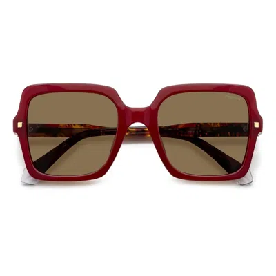 Polaroid Pld 4165/s/x Lhf(sp) In Brown