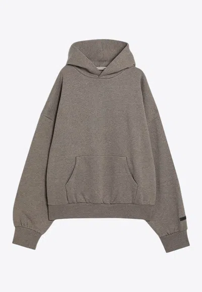 Essentials Logo Print Hooded Sweatshirt In Gray