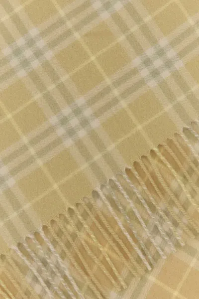 Burberry Scarves And Foulards In Neutral