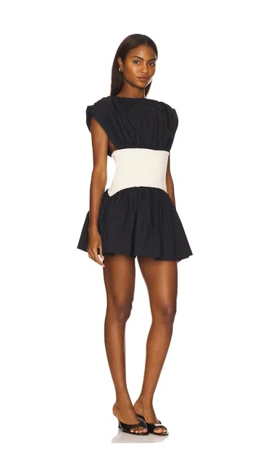 Lovers & Friends Jayden Mini Dress