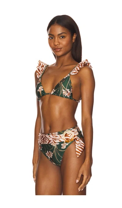 Patbo Botanic Retro Bikini Top In Green
