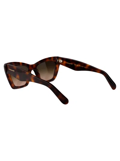 Ferragamo Brown Tortoise Acetate Sunglasses In Multi
