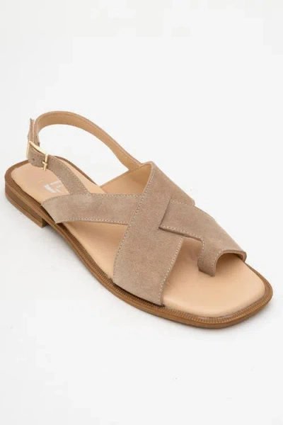 Forever & Always Shoes Louna Leather Thong Sandals In Brown
