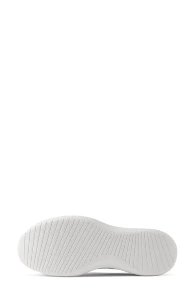 Allbirds Tree Runner Sneaker