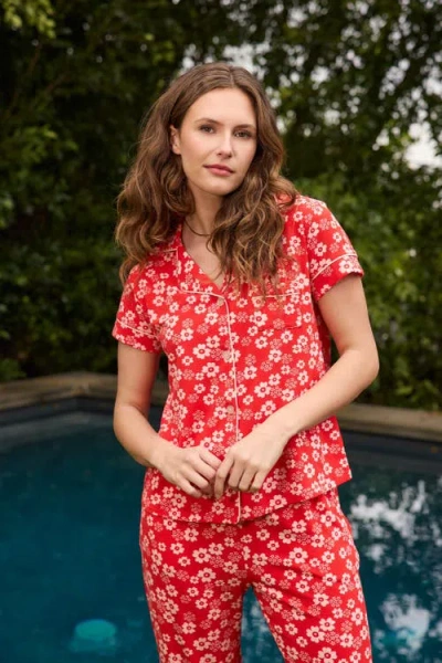 The Cat's Pajamas Pima Knit Capri Pajama Set In Pink
