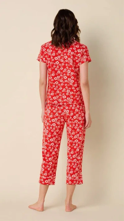 The Cat's Pajamas Pima Knit Capri Pajama Set In Pink