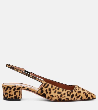 Aquazzura Ginza 35 Leopard-print Calf Hair Slingback Pumps In Animal Print