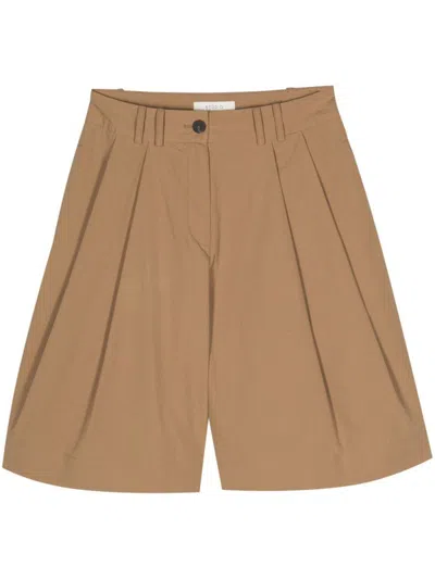 Studio Nicholson Cito Cotton Shorts In Brown