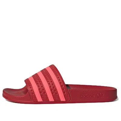 Adidas Originals (wmns) Adidas Adilette Slide 'scarlet' In Red