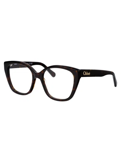 Chloé Havana Havana Transparent Acetate Glasses
