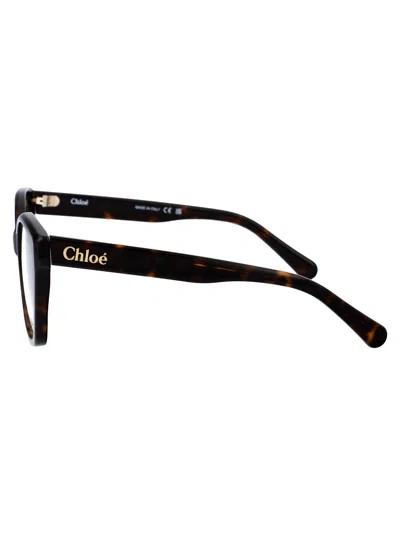 Chloé Havana Havana Transparent Acetate Glasses