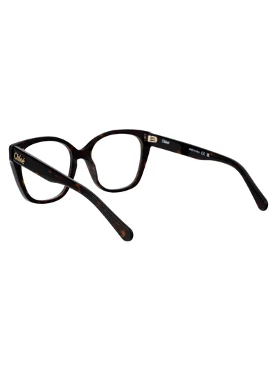 Chloé Havana Havana Transparent Acetate Glasses