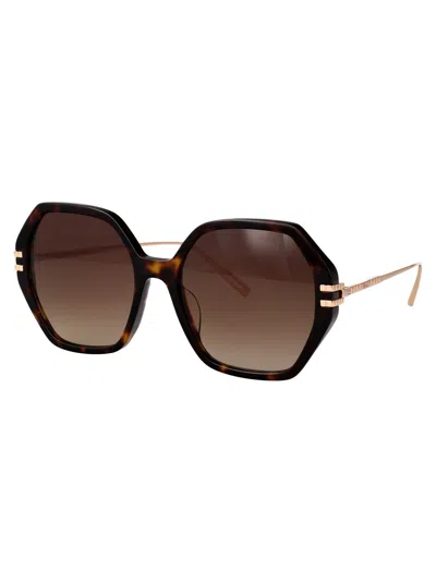 Chopard Titanium Havana Scura Sunglasses